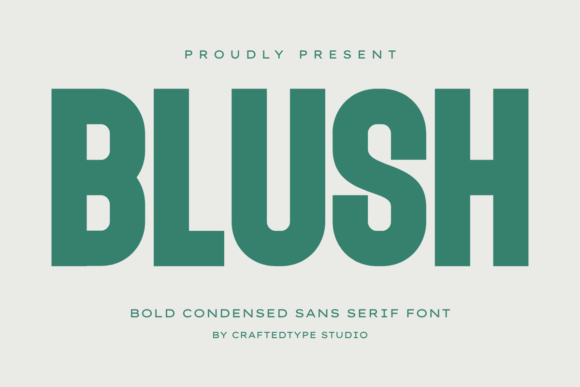 Blush: Bold, Modern, and Built for Impact