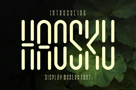 Haosku: Where Digital Precision Meets Typographic Expression